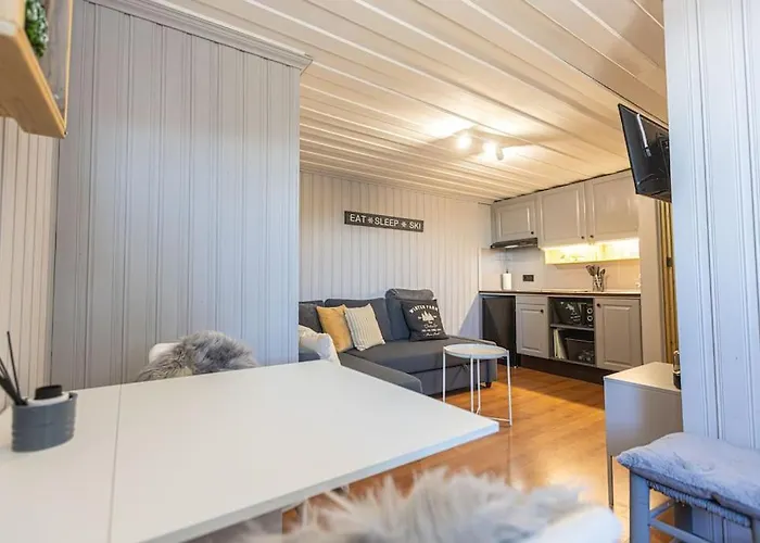 Апартаменты Ski-na *